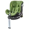 Barva 2025 Cactus Green