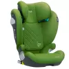 Barva Cactus Green